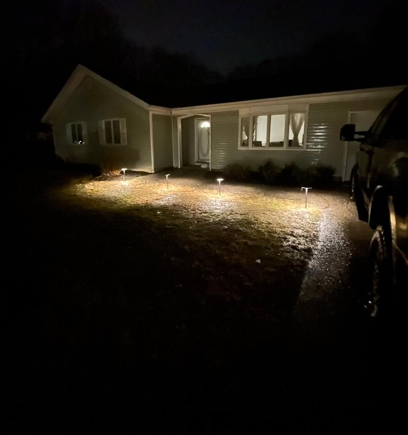 A house and lawn with landscape lighting at night