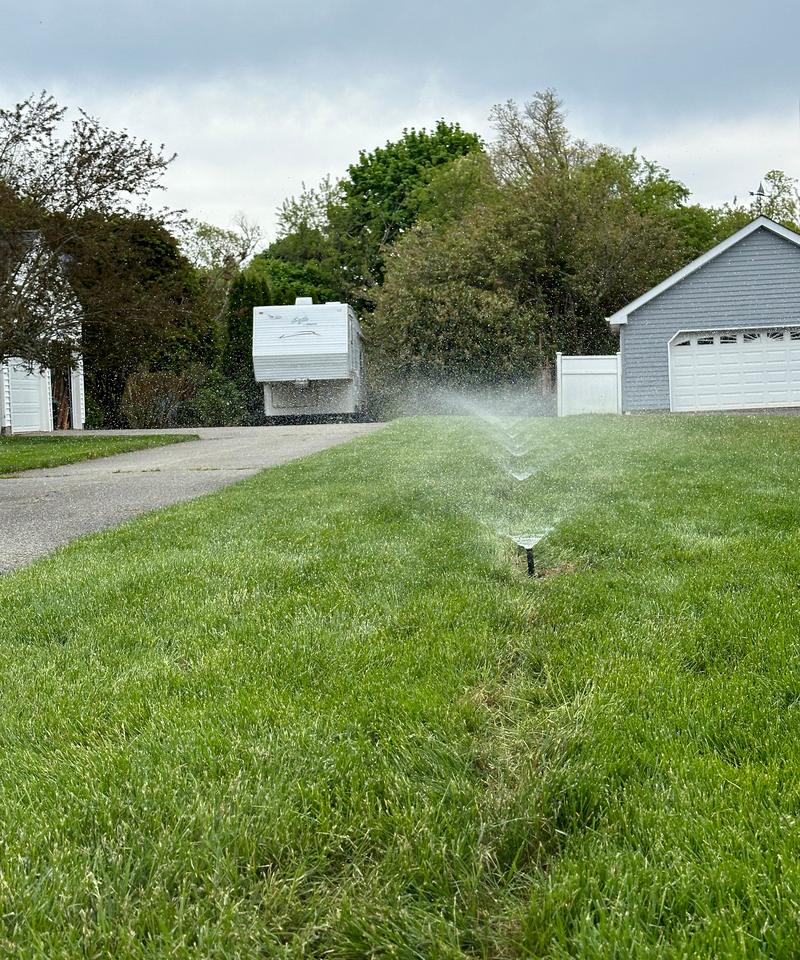 A spray head watering a newly seeded lawn